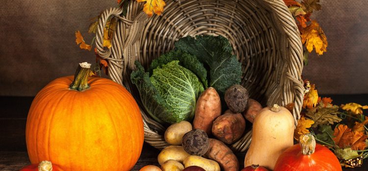 pumpkin, vegetables, autumn
