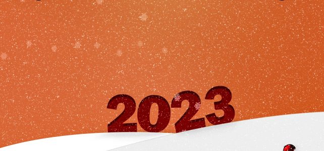 snow flakes, new year's 2023, snow driffs
