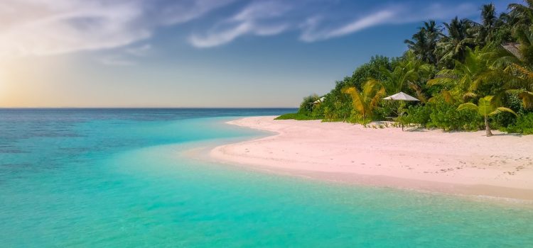 beach, paradise, nature, island, palm trees, ocean, romantic, sunset, seascape, sea, summer, bathing, holiday, sandy beach, vacations