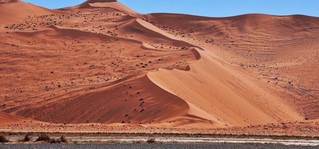 namibia, desert, dry, arid, landscape, sand, nature, namibia, desert, landscape, landscape, landscape, landscape, landscape