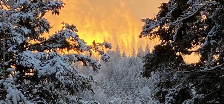„In deinem Herzen Feuer“ – Predigt von Hartmut Weber vom 21.12.2025