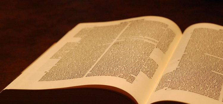 bible, book, scripture, open, text, open book, open bible, brown bible, bible, bible, bible, open bible, open bible, open bible, open bible, open bible