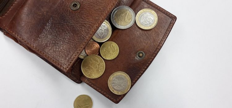 wallet, coins, money, euro, leather wallet, currency, loose change, pay, money coins, hard money, wallet, wallet, wallet, wallet, wallet