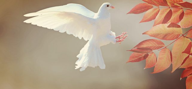 „Suche Frieden und jage ihm nach“ – Predigt von Andreas Ernst vom 10.02.2019