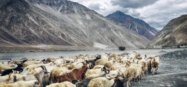 „Als die Zeit erfüllt war“ – Predigt von Waldemar Schmidt vom 23.12.2018 „Als die Zeit erfüllt war“ – Predigt von Waldemar Schmidt vom 23.12.2018