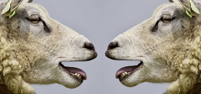 „Kommunikation“ – Predigt von Andreas Ernst vom 14.10.2018 „Kommunikation“ – Predigt von Andreas Ernst vom 14.10.2018