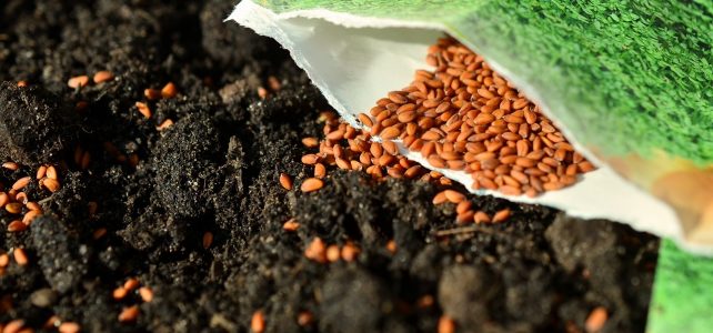 „Die göttliche Dimension der Realität“ – Predigt von Roland Lorenz vom 02.12.2018 „Die göttliche Dimension der Realität“ – Predigt von Roland Lorenz vom 02.12.2018