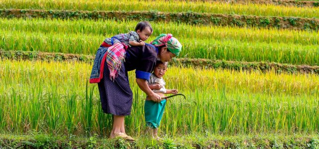 „Lebensandauernde Fülle“ – Predigt von Hartmut Weber vom 02.02.2020